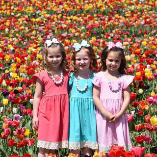 Boys – Tulips & Twirls Boutique