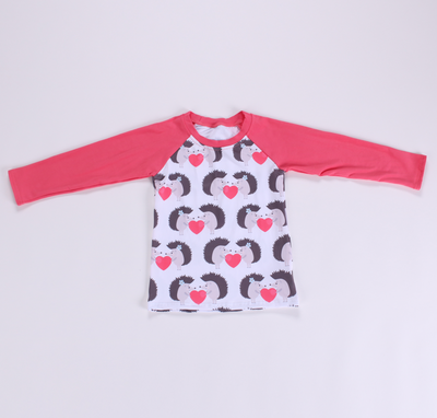 Girls long sleeve pink raglan with hedgehogs holding pink hearts. 